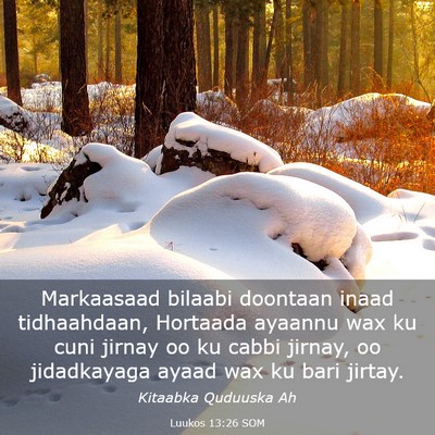 Picture 03 - Luukos 13:26 SOM - Markaasaad bilaabi doontaan inaad tidhaahdaan, - Bible Verse Picture