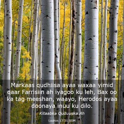 Picture 03 - Luukos 13:31 SOM - Markaas qudhiisa ayaa waxaa yimid qaar Farrisiin - Bible Verse Picture