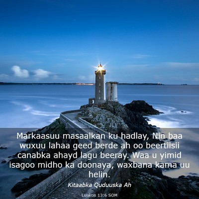 Picture 03 - Luukos 13:6 SOM - Markaasuu masaalkan ku hadlay, Nin baa wuxuu - Bible Verse Picture