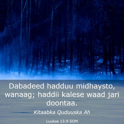Picture 03 - Luukos 13:9 SOM - Dabadeed hadduu midhaysto, wanaag; haddii kalese - Bible Verse Picture