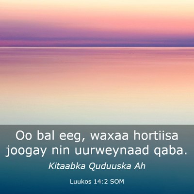 Picture 03 - Luukos 14:2 SOM - Oo bal eeg, waxaa hortiisa joogay nin uurweynaad - Bible Verse Picture