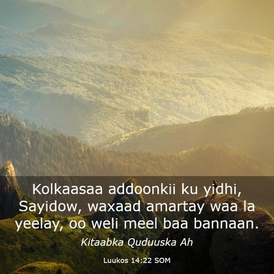 Picture 03 - Luukos 14:22 SOM - Kolkaasaa addoonkii ku yidhi, Sayidow, waxaad - Bible Verse Picture