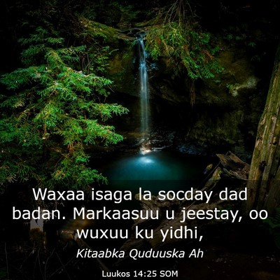 Picture 03 - Luukos 14:25 SOM - Waxaa isaga la socday dad badan. Markaasuu u - Bible Verse Picture