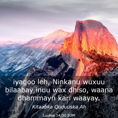 Picture 03 - Luukos 14:30 SOM - iyagoo leh, Ninkanu wuxuu bilaabay inuu wax - Bible Verse Picture