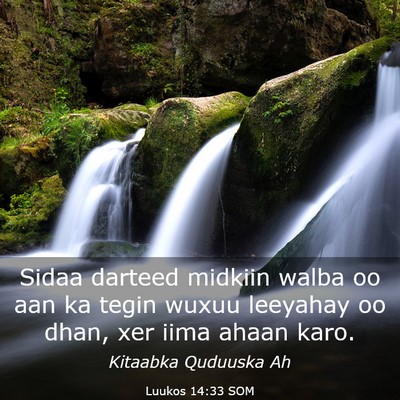 Picture 03 - Luukos 14:33 SOM - Sidaa darteed midkiin walba oo aan ka tegin wuxuu - Bible Verse Picture