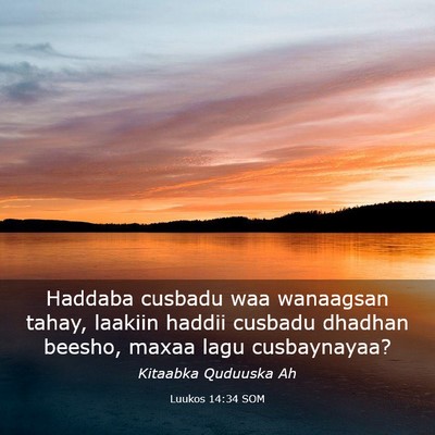 Picture 03 - Luukos 14:34 SOM - Haddaba cusbadu waa wanaagsan tahay, laakiin - Bible Verse Picture