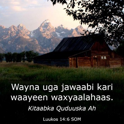 Picture 03 - Luukos 14:6 SOM - Wayna uga jawaabi kari waayeen - Bible Verse Picture