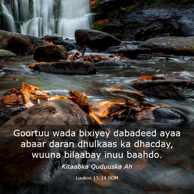 Picture 03 - Luukos 15:14 SOM - Goortuu wada bixiyey dabadeed ayaa abaar daran - Bible Verse Picture
