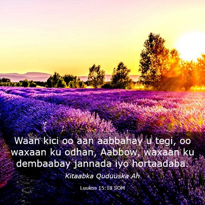 Picture 03 - Luukos 15:18 SOM - Waan kici oo aan aabbahay u tegi, oo waxaan ku - Bible Verse Picture