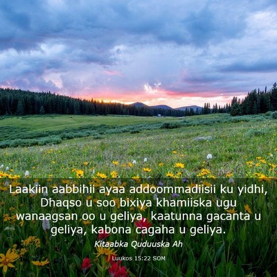 Picture 03 - Luukos 15:22 SOM - Laakiin aabbihii ayaa addoommadiisii ku yidhi, - Bible Verse Picture
