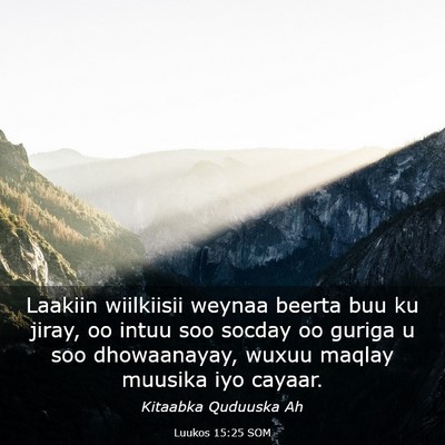 Picture 03 - Luukos 15:25 SOM - Laakiin wiilkiisii weynaa beerta buu ku jiray, oo - Bible Verse Picture