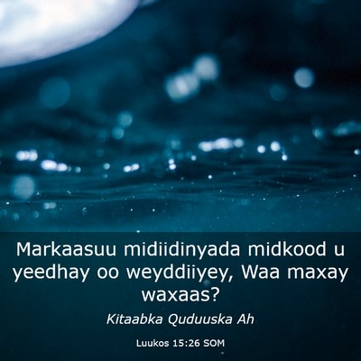 Picture 03 - Luukos 15:26 SOM - Markaasuu midiidinyada midkood u yeedhay oo - Bible Verse Picture