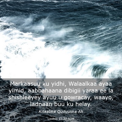 Picture 03 - Luukos 15:27 SOM - Markaasuu ku yidhi, Walaalkaa ayaa yimid, - Bible Verse Picture