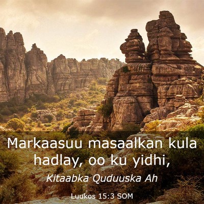 Picture 03 - Luukos 15:3 SOM - Markaasuu masaalkan kula hadlay, oo ku - Bible Verse Picture