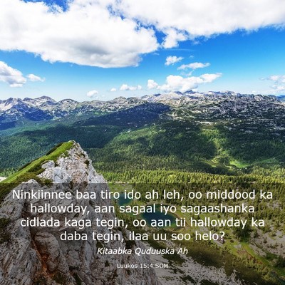 Picture 03 - Luukos 15:4 SOM - Ninkiinnee baa tiro ido ah leh, oo middood ka - Bible Verse Picture