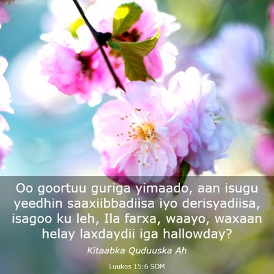 Picture 03 - Luukos 15:6 SOM - Oo goortuu guriga yimaado, aan isugu yeedhin - Bible Verse Picture