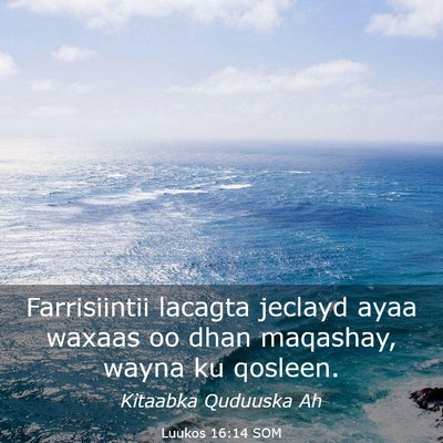 Picture 03 - Luukos 16:14 SOM - Farrisiintii lacagta jeclayd ayaa waxaas oo dhan - Bible Verse Picture