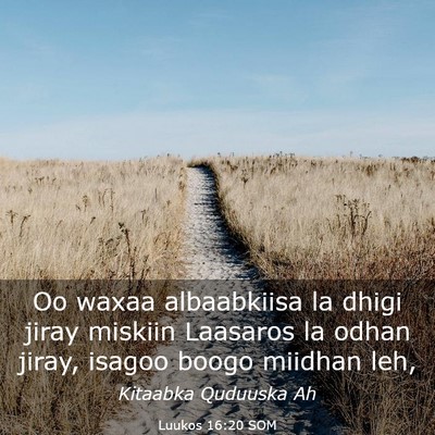 Picture 03 - Luukos 16:20 SOM - Oo waxaa albaabkiisa la dhigi jiray miskiin - Bible Verse Picture