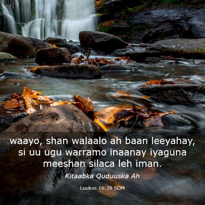 Picture 03 - Luukos 16:28 SOM - waayo, shan walaalo ah baan leeyahay, si uu ugu - Bible Verse Picture