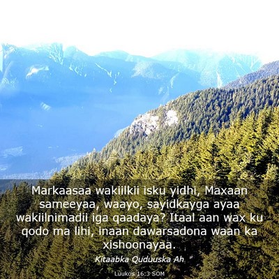 Picture 03 - Luukos 16:3 SOM - Markaasaa wakiilkii isku yidhi, Maxaan sameeyaa, - Bible Verse Picture