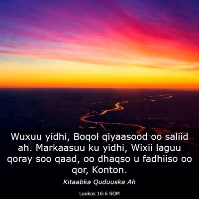 Picture 03 - Luukos 16:6 SOM - Wuxuu yidhi, Boqol qiyaasood oo saliid ah. - Bible Verse Picture