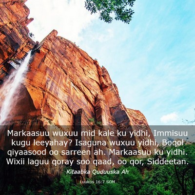 Picture 03 - Luukos 16:7 SOM - Markaasuu wuxuu mid kale ku yidhi, Immisuu kugu - Bible Verse Picture