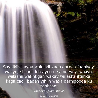 Picture 03 - Luukos 16:8 SOM - Sayidkiisii ayaa wakiilkii xaqa darnaa faaniyey, - Bible Verse Picture