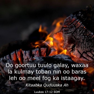 Picture 03 - Luukos 17:12 SOM - Oo goortuu tuulo galay, waxaa la kulmay toban nin - Bible Verse Picture