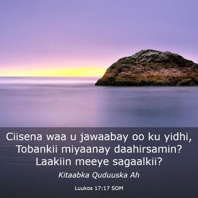 Picture 03 - Luukos 17:17 SOM - Ciisena waa u jawaabay oo ku yidhi, Tobankii - Bible Verse Picture