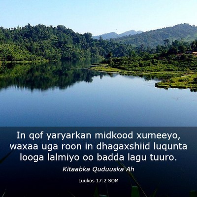 Picture 03 - Luukos 17:2 SOM - In qof yaryarkan midkood xumeeyo, waxaa uga roon - Bible Verse Picture