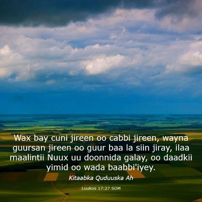 Picture 03 - Luukos 17:27 SOM - Wax bay cuni jireen oo cabbi jireen, wayna - Bible Verse Picture