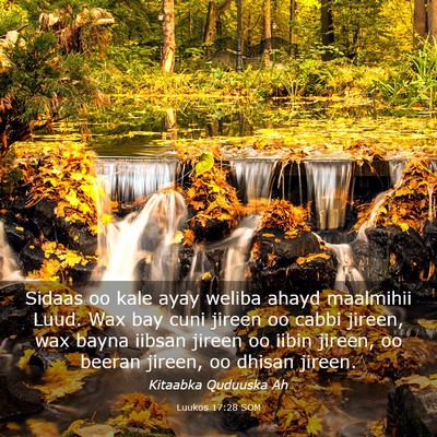 Picture 03 - Luukos 17:28 SOM - Sidaas oo kale ayay weliba ahayd maalmihii Luud. - Bible Verse Picture