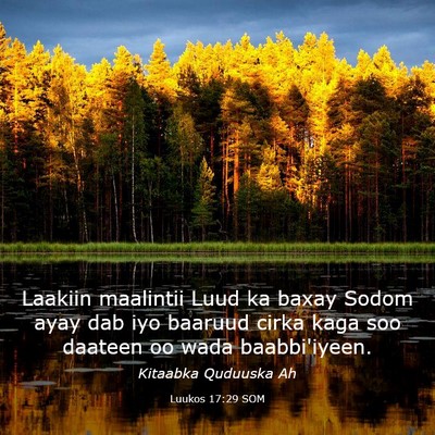 Picture 03 - Luukos 17:29 SOM - Laakiin maalintii Luud ka baxay Sodom ayay dab - Bible Verse Picture