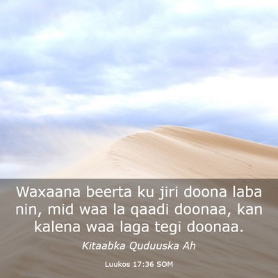 Picture 03 - Luukos 17:36 SOM - Waxaana beerta ku jiri doona laba nin, mid waa la - Bible Verse Picture