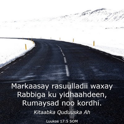 Picture 03 - Luukos 17:5 SOM - Markaasay rasuulladii waxay Rabbiga ku - Bible Verse Picture