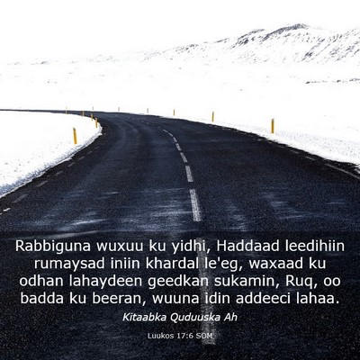 Picture 03 - Luukos 17:6 SOM - Rabbiguna wuxuu ku yidhi, Haddaad leedihiin - Bible Verse Picture