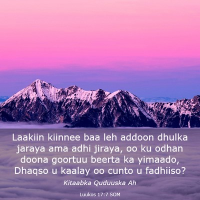 Picture 03 - Luukos 17:7 SOM - Laakiin kiinnee baa leh addoon dhulka jaraya ama - Bible Verse Picture