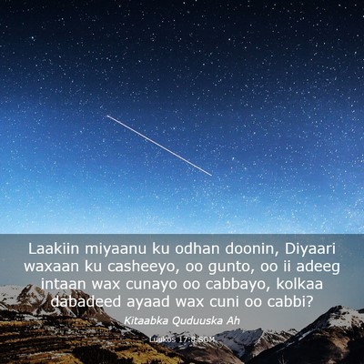 Picture 03 - Luukos 17:8 SOM - Laakiin miyaanu ku odhan doonin, Diyaari waxaan - Bible Verse Picture