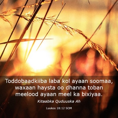 Picture 03 - Luukos 18:12 SOM - Toddobaadkiiba laba kol ayaan soomaa, waxaan - Bible Verse Picture