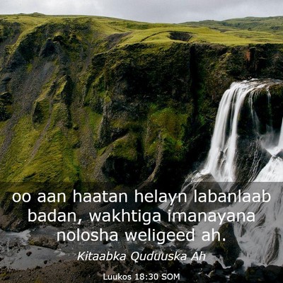 Picture 03 - Luukos 18:30 SOM - oo aan haatan helayn labanlaab badan, wakhtiga - Bible Verse Picture