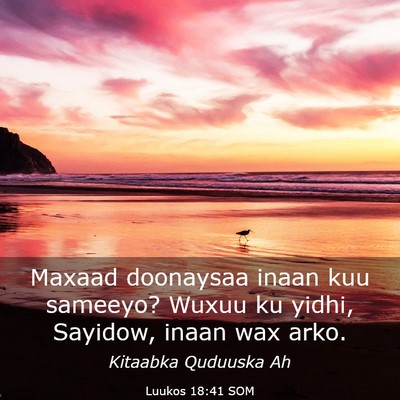 Picture 03 - Luukos 18:41 SOM - Maxaad doonaysaa inaan kuu sameeyo? Wuxuu ku - Bible Verse Picture