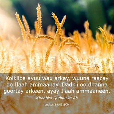 Picture 03 - Luukos 18:43 SOM - Kolkiiba ayuu wax arkay, wuuna raacay oo Ilaah - Bible Verse Picture