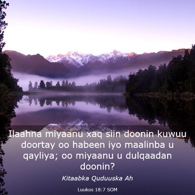 Picture 03 - Luukos 18:7 SOM - Ilaahna miyaanu xaq siin doonin kuwuu doortay oo - Bible Verse Picture