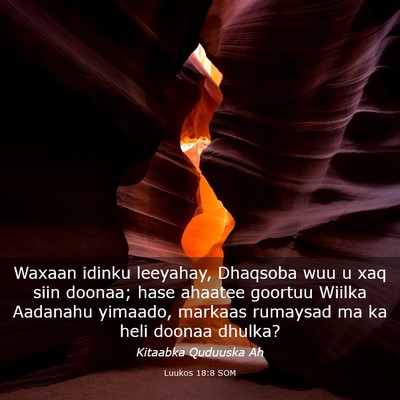 Picture 03 - Luukos 18:8 SOM - Waxaan idinku leeyahay, Dhaqsoba wuu u xaq siin - Bible Verse Picture
