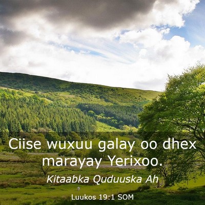 Picture 03 - Luukos 19:1 SOM - Ciise wuxuu galay oo dhex marayay - Bible Verse Picture