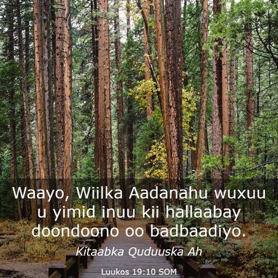 Picture 03 - Luukos 19:10 SOM - Waayo, Wiilka Aadanahu wuxuu u yimid inuu kii - Bible Verse Picture