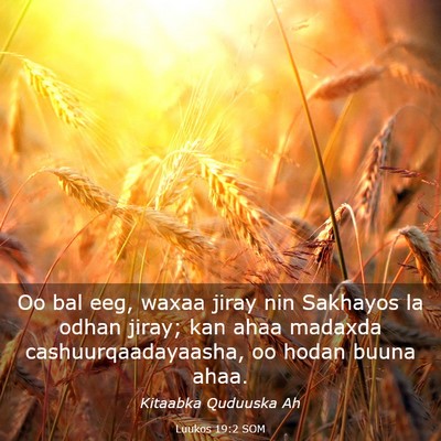 Picture 03 - Luukos 19:2 SOM - Oo bal eeg, waxaa jiray nin Sakhayos la odhan - Bible Verse Picture