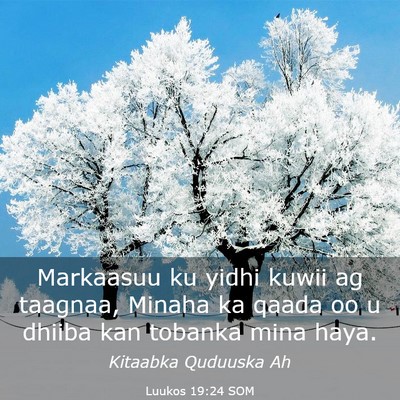 Picture 03 - Luukos 19:24 SOM - Markaasuu ku yidhi kuwii ag taagnaa, Minaha ka - Bible Verse Picture