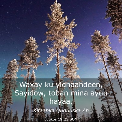 Picture 03 - Luukos 19:25 SOM - Waxay ku yidhaahdeen, Sayidow, toban mina ayuu - Bible Verse Picture