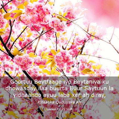 Picture 03 - Luukos 19:29 SOM - Goortuu Beytfaage iyo Beytaniya ku dhowaaday ilaa - Bible Verse Picture